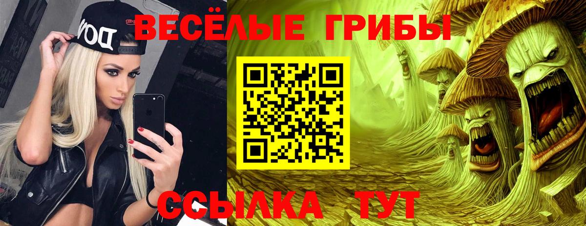 Десногорск  закладки  Вход с VPN  Псилоцибиновые грибы мухоморы 