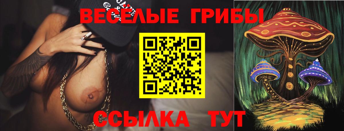 Псилоцибиновые грибы GOLDEN TEACHER Десногорск